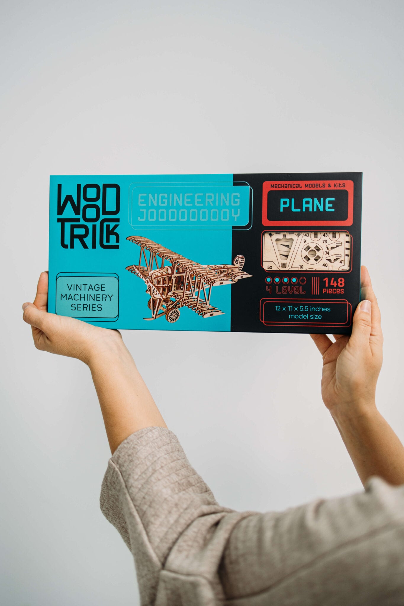 Plane information image