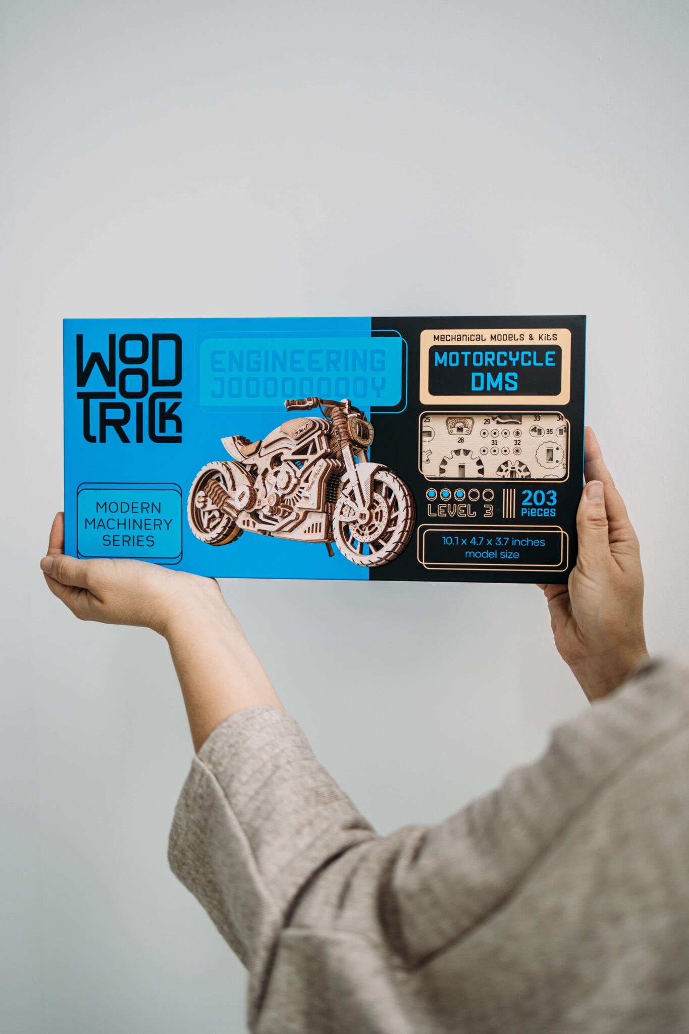 Motorcycle DMS information image