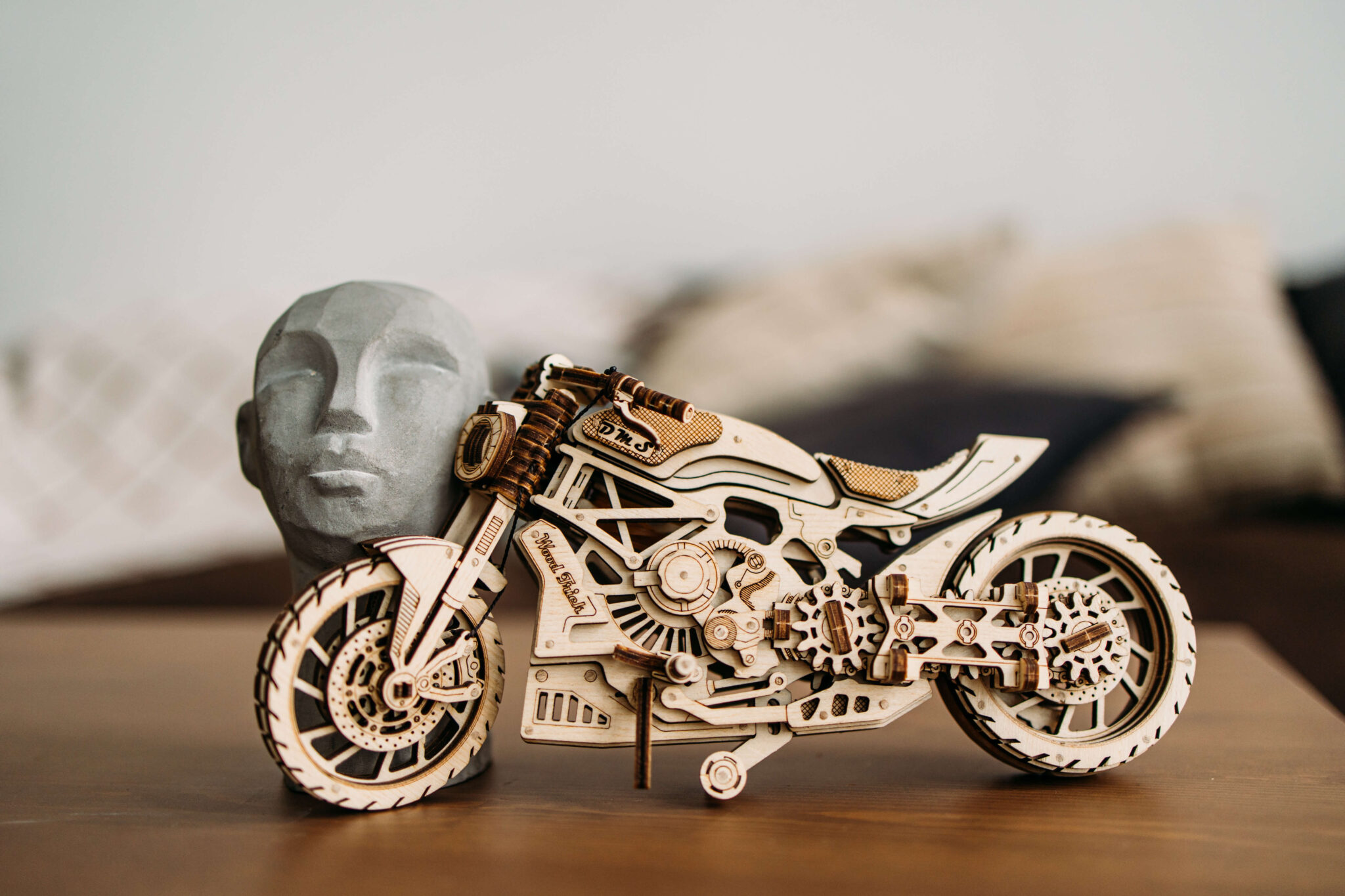 Motorcycle DMS image with text 1