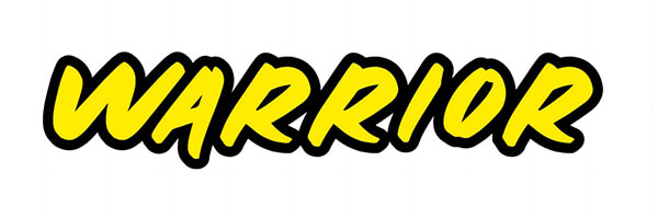 JOYSWAY WARRIOR V4 DEEP VEE 2.4G RTR BOAT 420mm LOGO